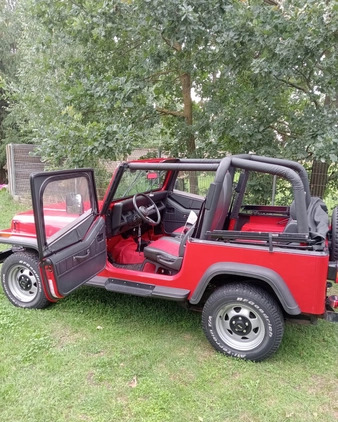 Jeep Wrangler cena 70000 przebieg: 160000, rok produkcji 1995 z Łuków małe 37